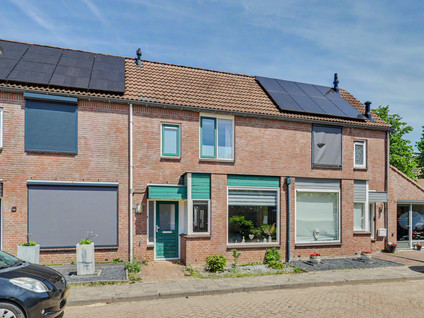 Rietdekker 4