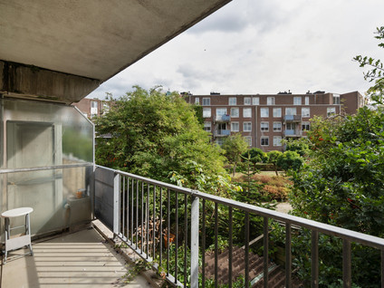 Nova Zemblastraat 405
