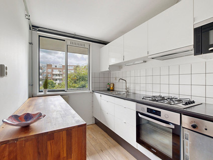 Nova Zemblastraat 405
