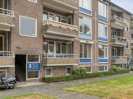 Duizendschoonstraat 31