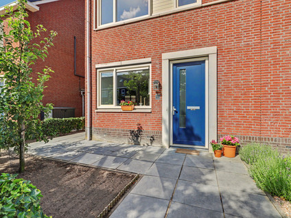 Aardbeivlinder 78