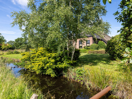 Wyldpaed (Oast) 23