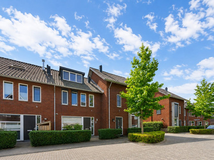 Tribunusallee 37