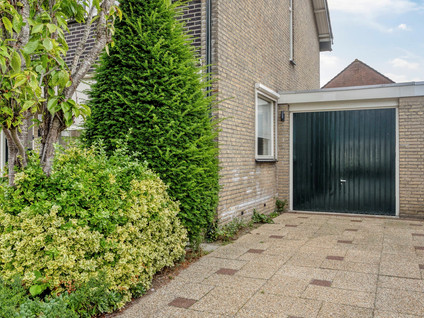 Zangvogelstraat 17