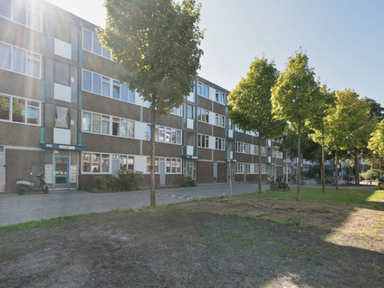 Grootzeil 35