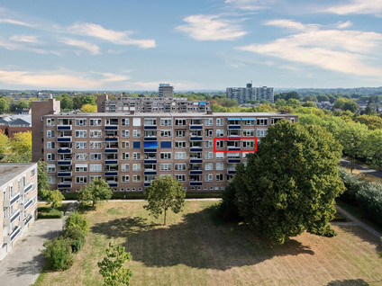 Albert Cuypstraat 82