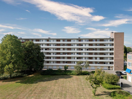 Albert Cuypstraat 82