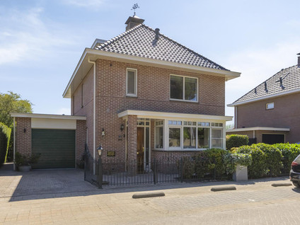 Koekoeksbloem 24