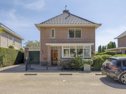 Koekoeksbloem 24