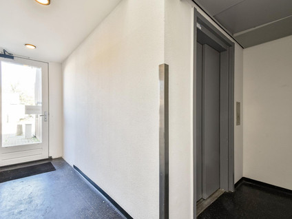 Struisgrasstraat 1F