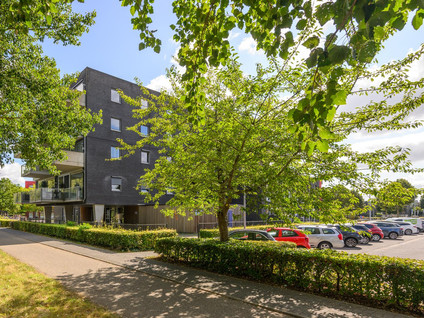Maldivenweg 23