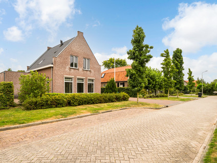 Korshof 10