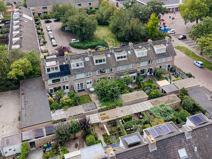 Callenburghplantsoen 17