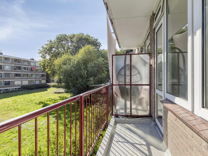Plotinusstraat 36