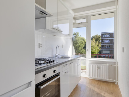 Plotinusstraat 36