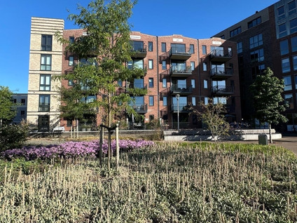 apartments for rent on Spirituslaan 76