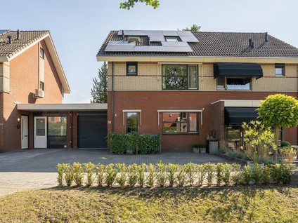 Kolibrievlinder 91