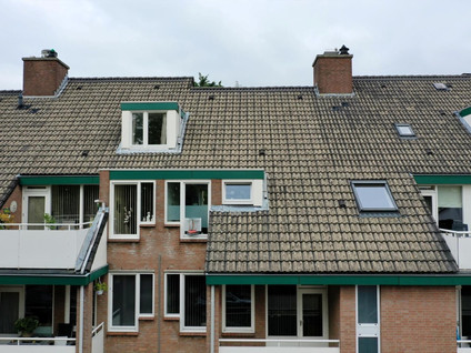 Pastorijstraat 11D