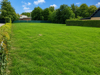 Molendijk 