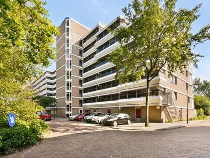 Stadzicht 50