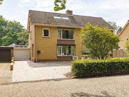 Hazenberg 5