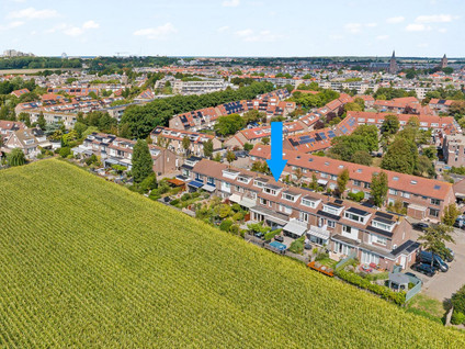 Tolhoren 55