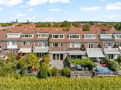 Tolhoren 55