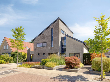 De Zeis 20