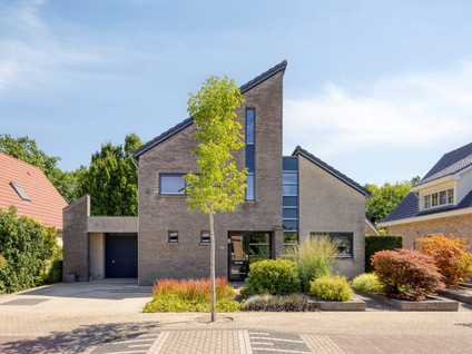 De Zeis 20