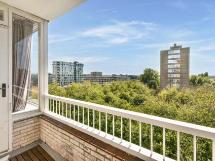 Maassluisstraat 212