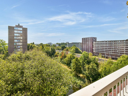 Maassluisstraat 212