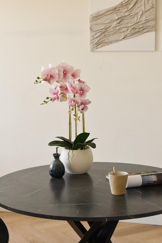 Appartement te koop: Maassluisstraat 212, Amsterdam