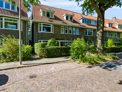 Statenlaan 45