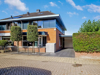 Koekoeksbloem 2