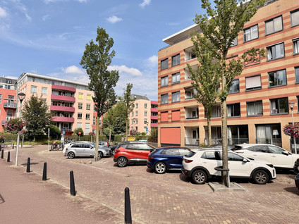 Arthur van Schendelstraat 719