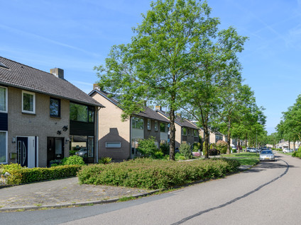 Aalsburg 2915