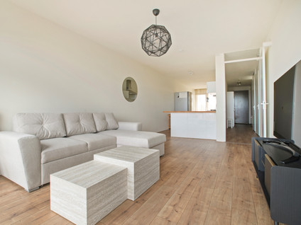 free-sector-houses for rent on Julius Pergerstraat 244