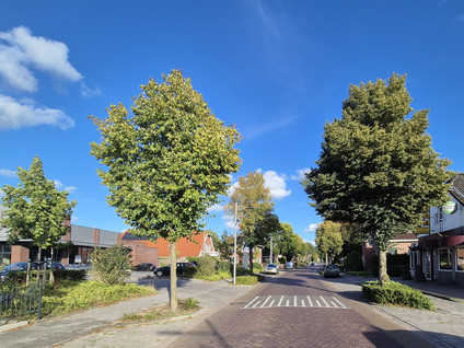 Wilhelminastraat 20