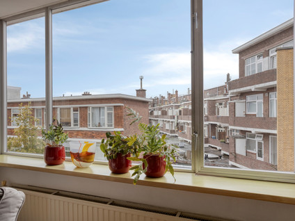Sinaasappelstraat 22