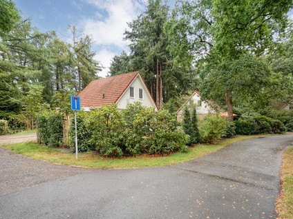 Korhoen 36