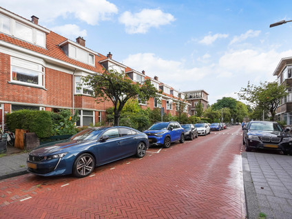 Bosbesstraat 119