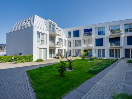 Turfberg 71