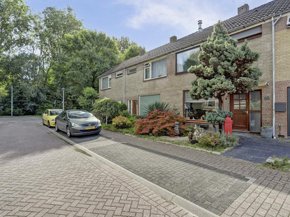 Moerbeistraat 5