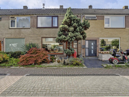 Moerbeistraat 5