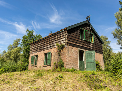Biesbosch 18