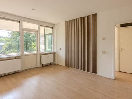 Scholeksterstraat 54