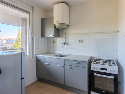 Scholeksterstraat 54