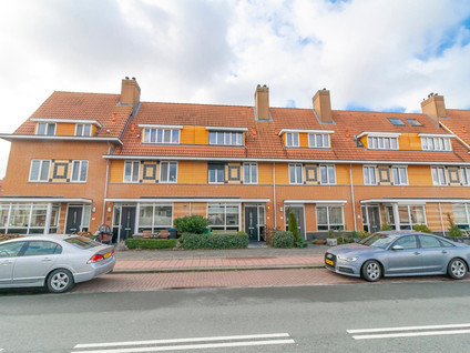 Salamander in Amstelveen