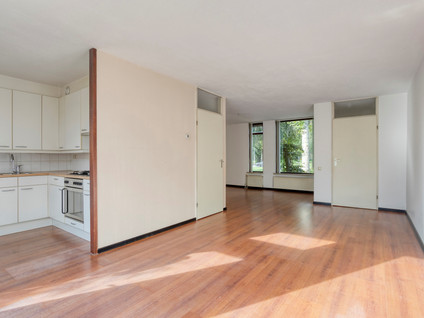 Winckelgaard 2