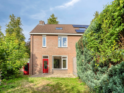 Winckelgaard 2